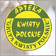 rollup Apteka Kwiaty Polskie